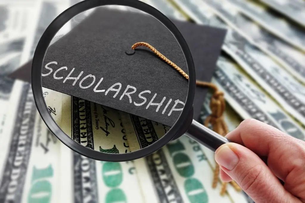 Influence of the Scholarships